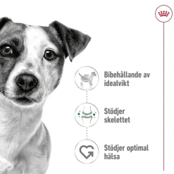 Royal Canin Mini Adult 2 x 8 kg