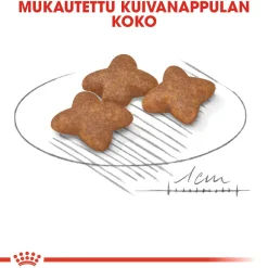 Royal Canin Mini Adult 2 x 8 kg