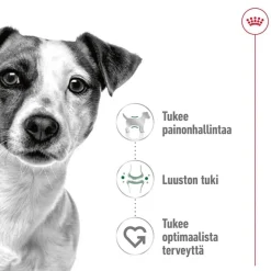 Royal Canin Mini Adult 2 x 8 kg