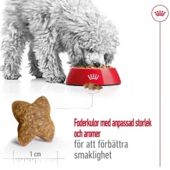 Royal Canin Mini Adult 2 x 8 kg