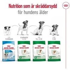 Royal Canin Mini Adult 2 x 8 kg
