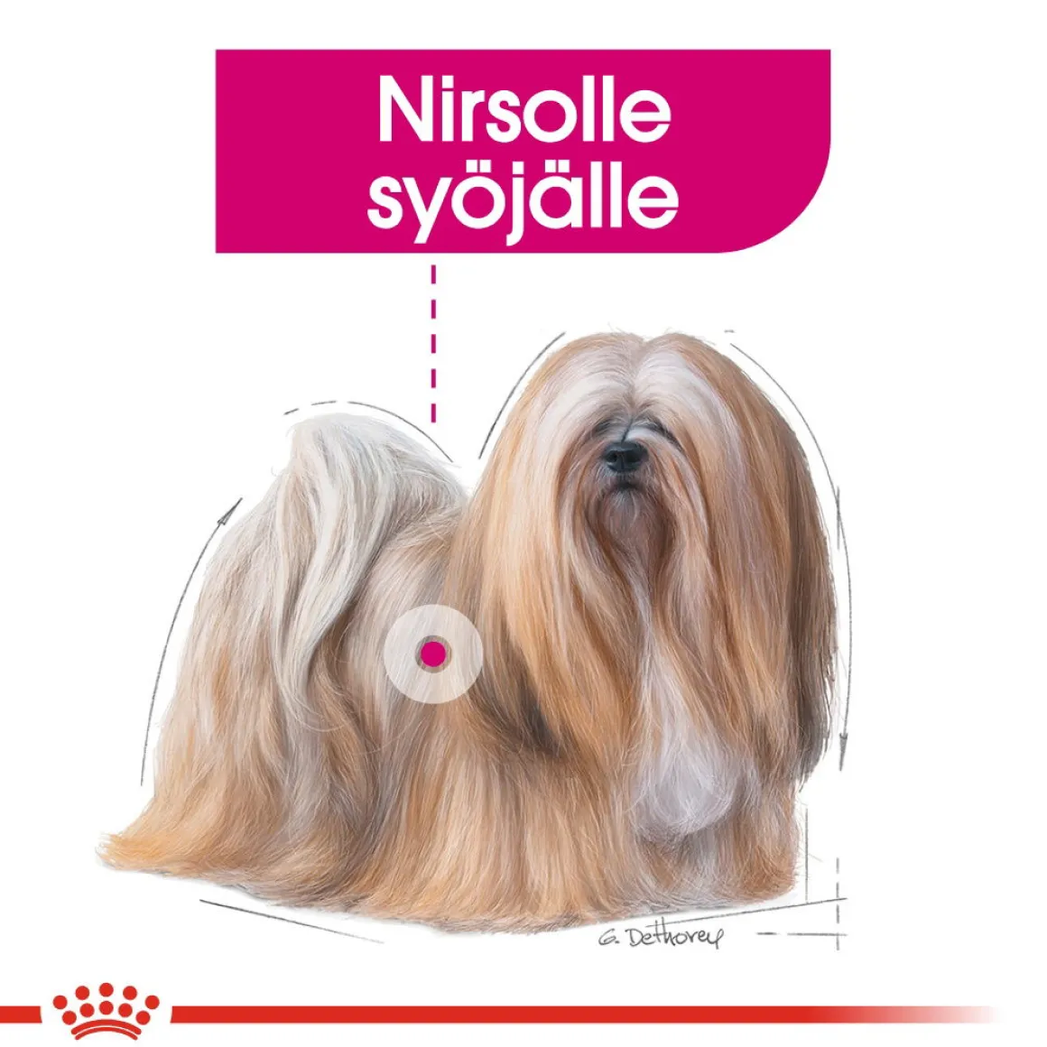 Royal Canin Mini Exigent