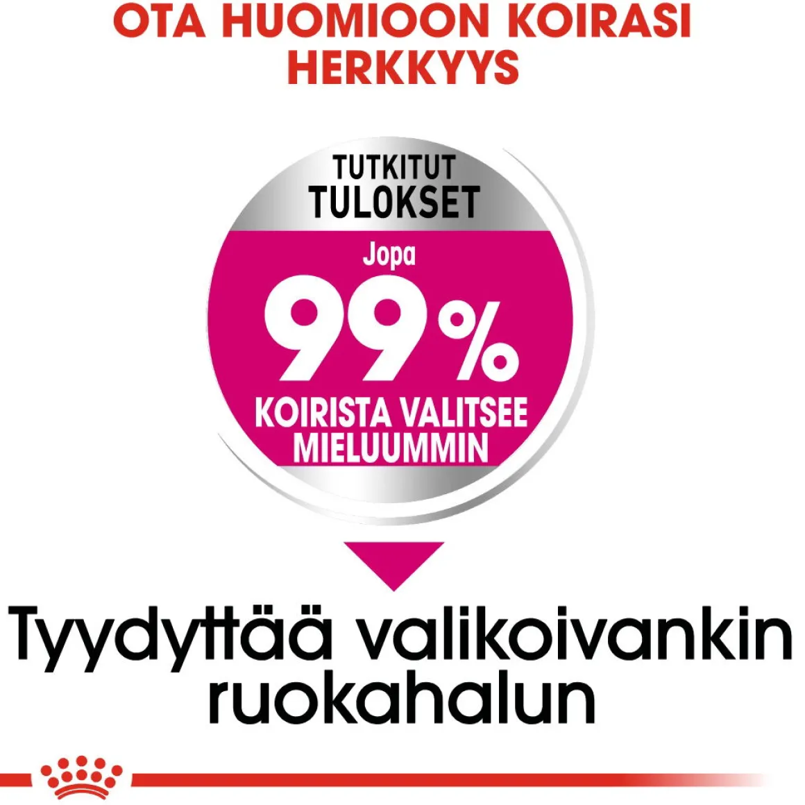 Royal Canin Mini Exigent