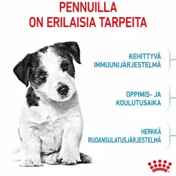Royal Canin Mini Puppy