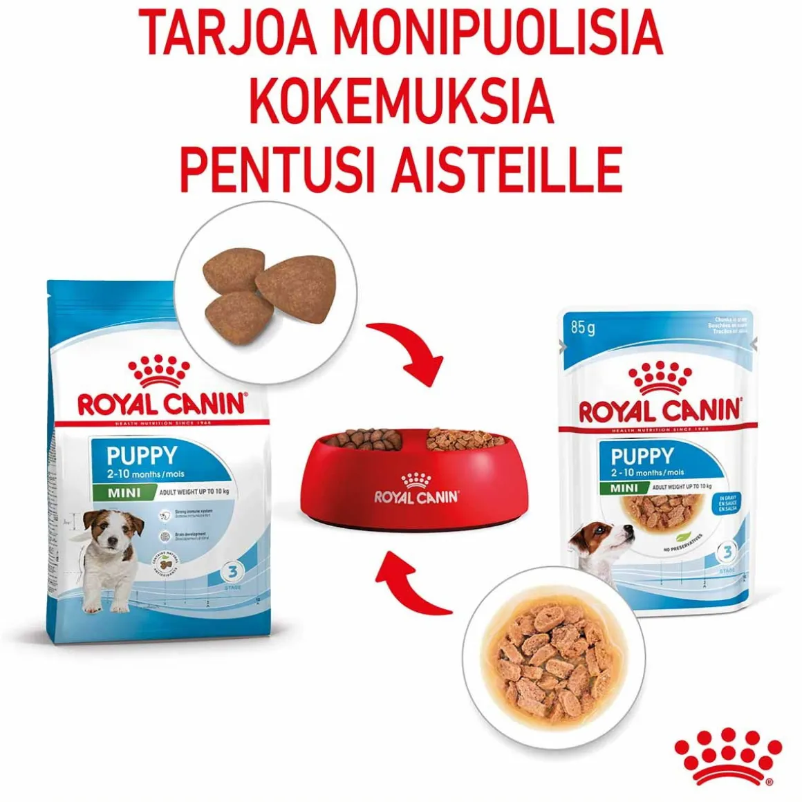 Royal Canin Mini Puppy Wet 12 x 85 g