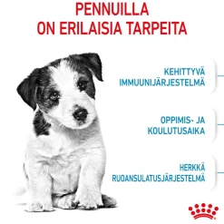 Royal Canin Mini Puppy 2 x 8kg