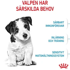 Royal Canin Mini Puppy 2 x 8kg