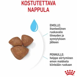 Royal Canin Mini Starter