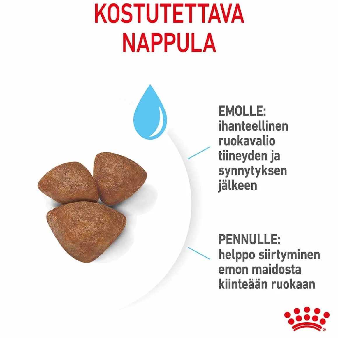 Royal Canin Mini Starter