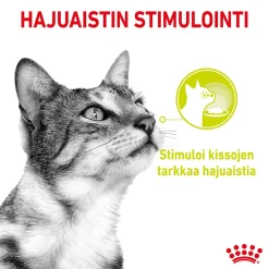 Royal Canin Sensory Mixed box Gravy, 12x85g