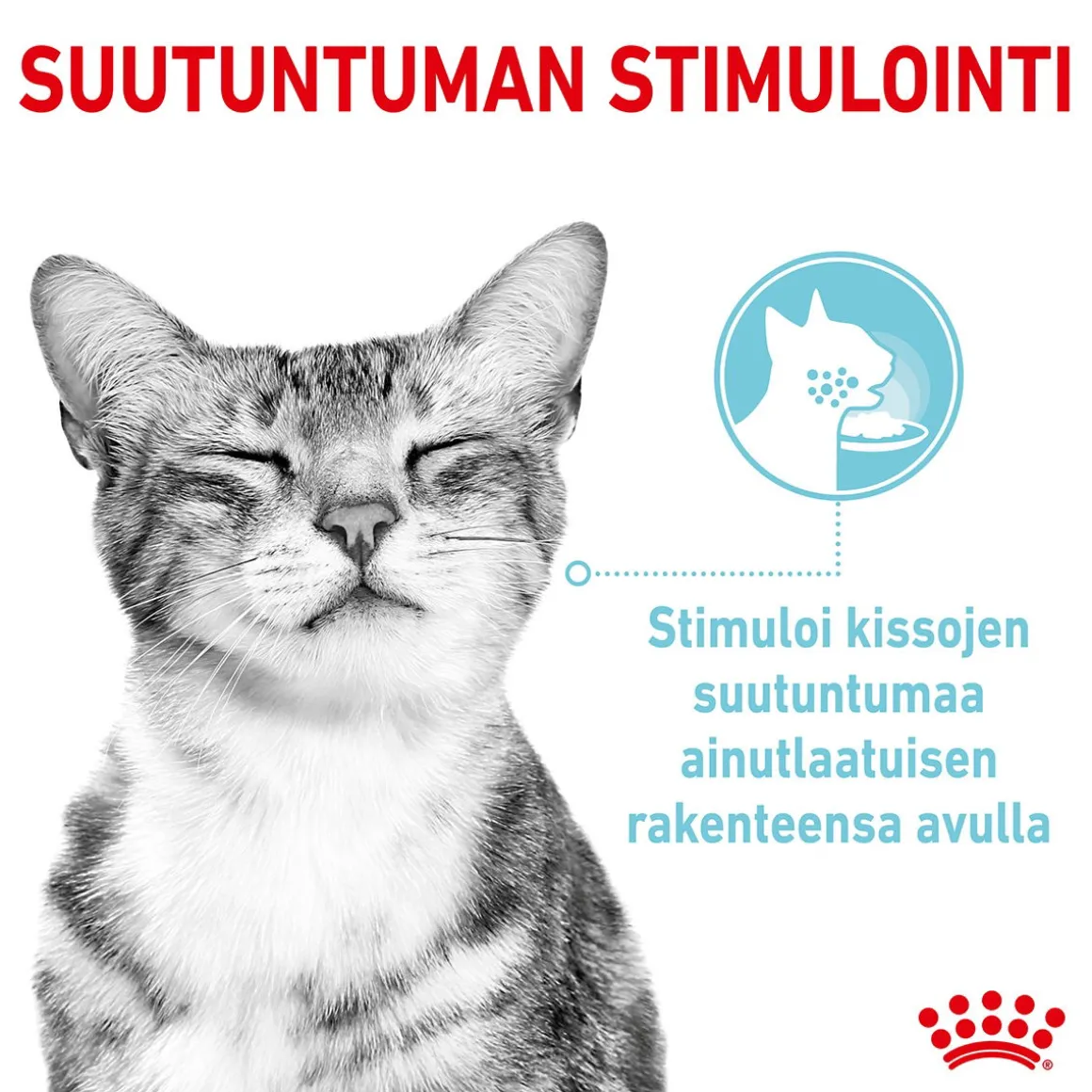 Royal Canin Sensory Mixed box Gravy, 12x85g