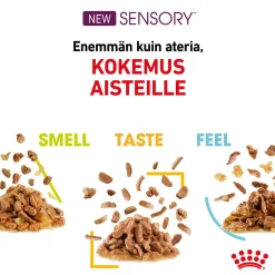 Royal Canin Sensory Mixed box Gravy, 12x85g