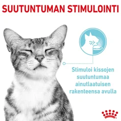 Royal Canin Sensory Mixed box Gravy 85g, 48-pack