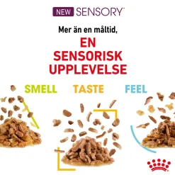 Royal Canin Sensory Mixed box Gravy 85g, 48-pack