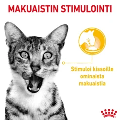 Royal Canin Sensory Mixed box Gravy 85g, 48-pack