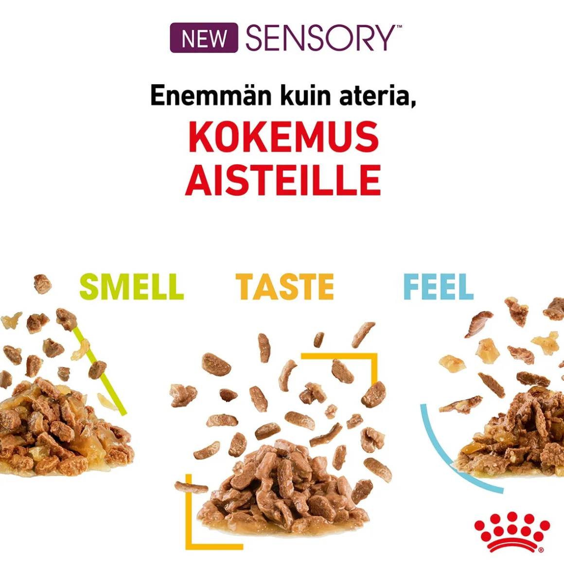 Royal Canin Sensory Taste Gravy, 12x85g