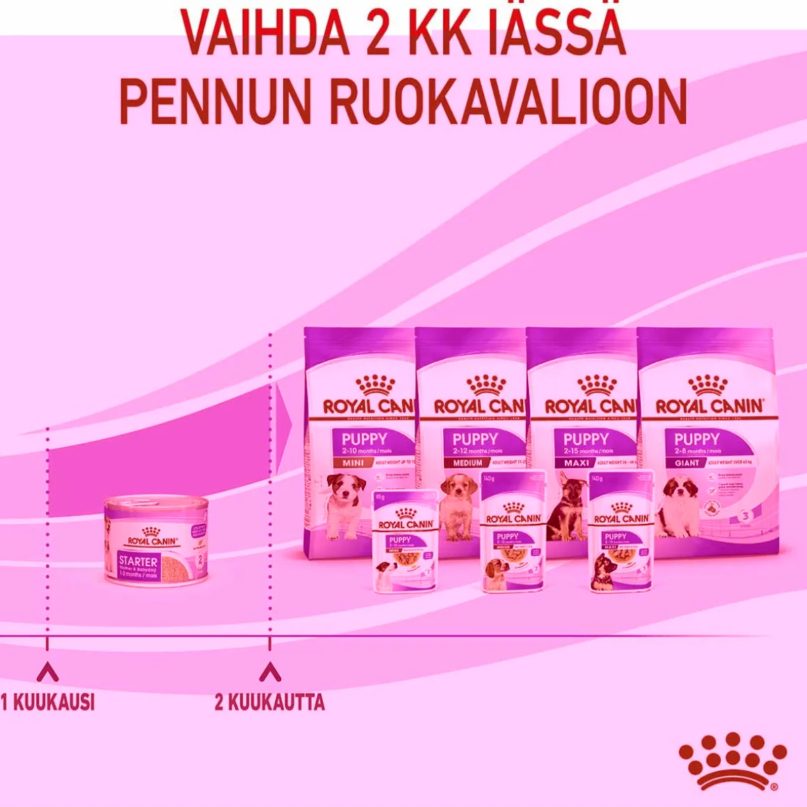 Royal Canin Starter Mother & Babydog