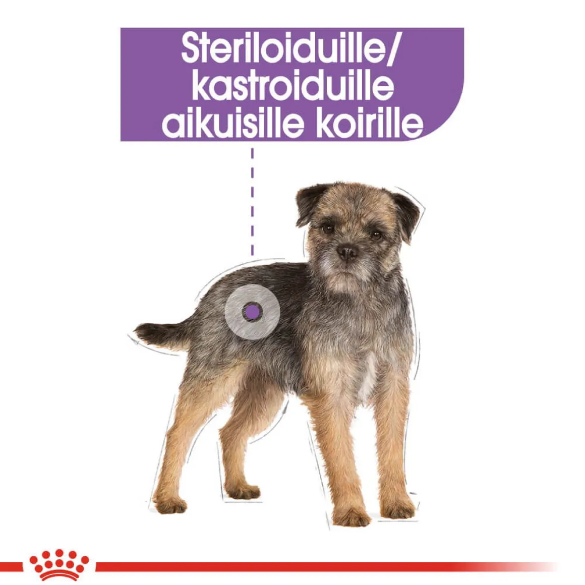 Royal Canin Sterilised wet 12 x 85 g