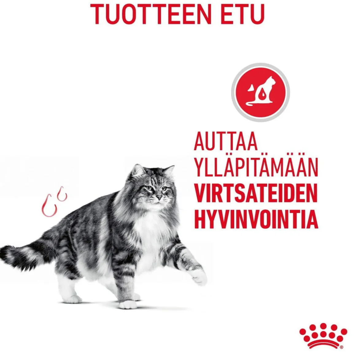 Royal Canin Urinary Care Gravy 12x85g