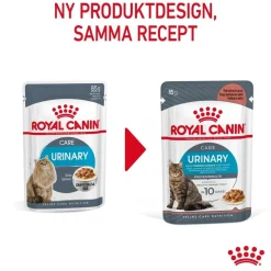 Royal Canin Urinary Care Gravy 85g, 48-pack