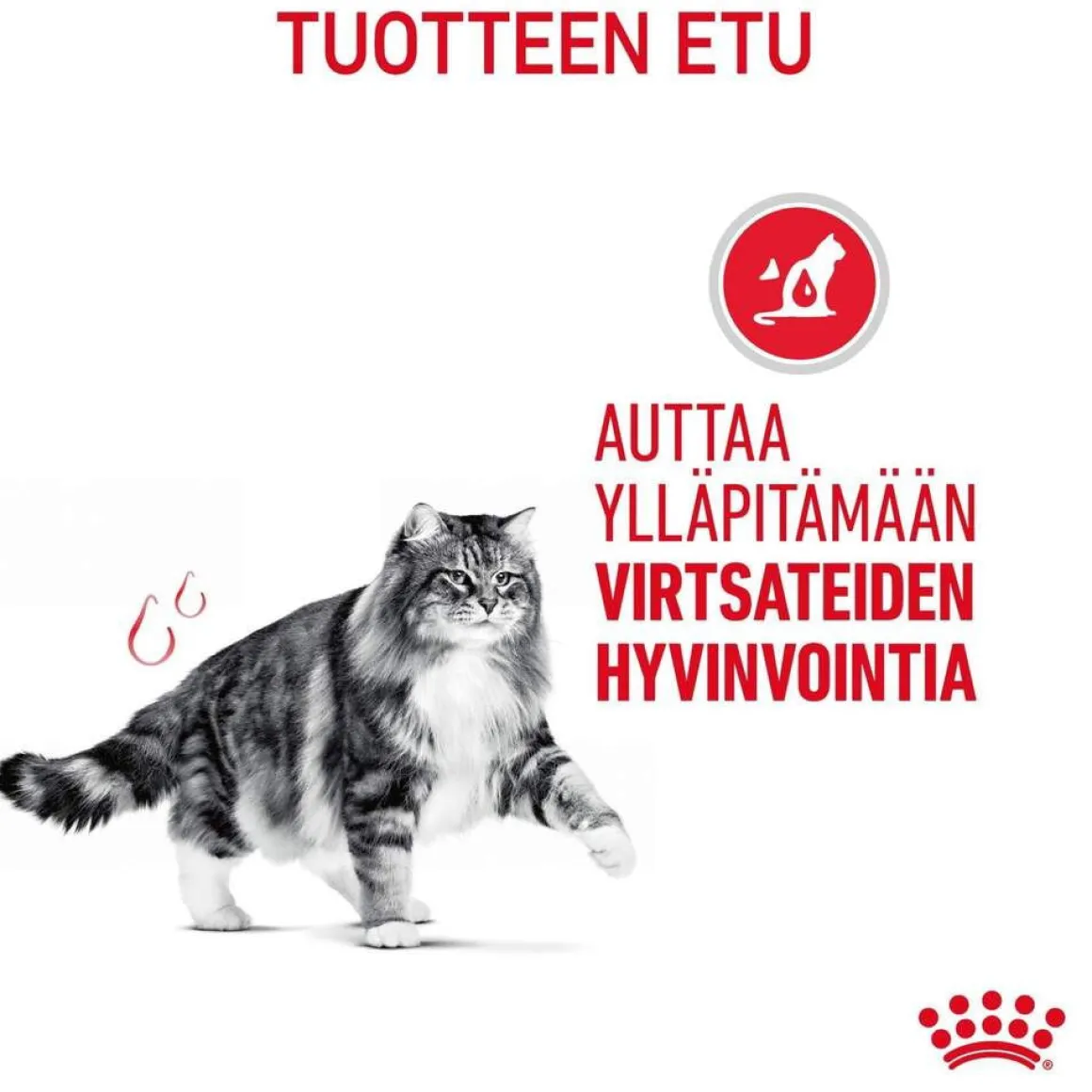 Royal Canin Urinary Care Gravy 85g, 48-pack