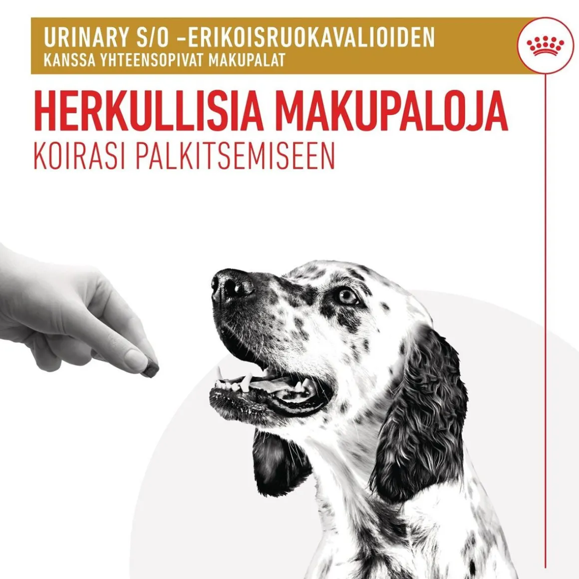 Royal Canin Urinary Treats 230 g