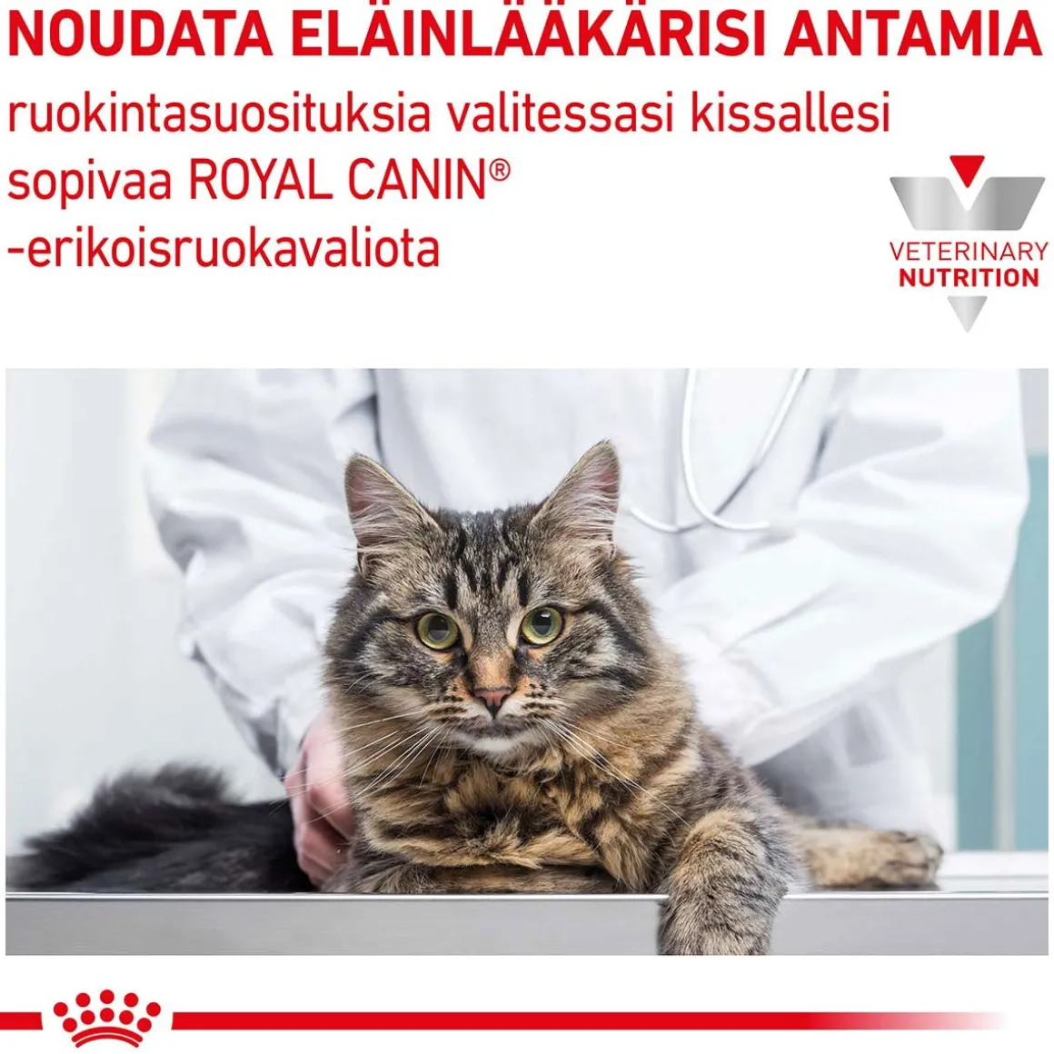 Royal Canin Veterinary Diets Cat Gastrointestinal Hairball