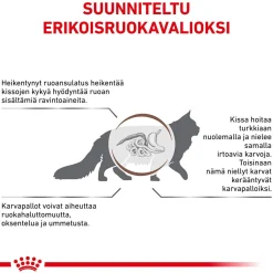 Royal Canin Veterinary Diets Cat Gastrointestinal Hairball