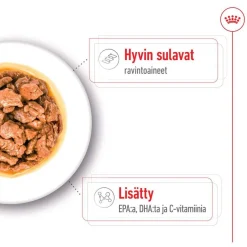Royal Canin XS Adult märkäruoka 12 x 85 g