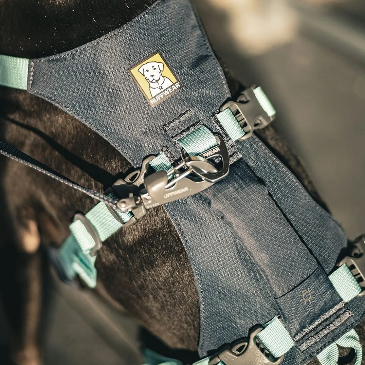 Ruffwear Flagline valjaat, harmaa