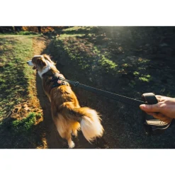 Ruffwear Ridgeline valjaat, Obsidian Black