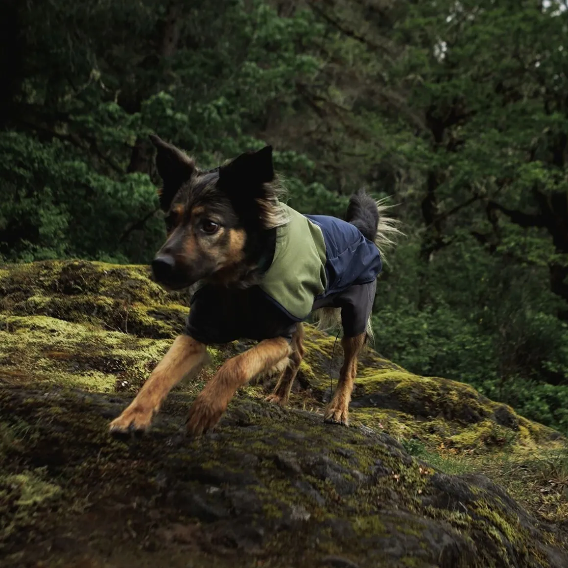 Ruffwear Sun Shower sadehaalari, Midnight Blue