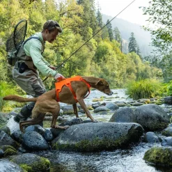 Ruffwear Web Master valjaat koiralle, Blaze Orange