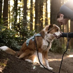Ruffwear Web Master, valjas River Rock Green