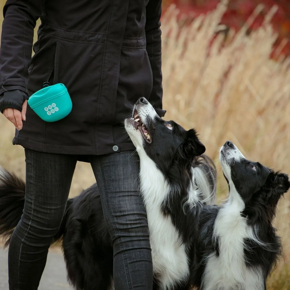Silikoninen makupalapussi Pro Dog, turkoosi