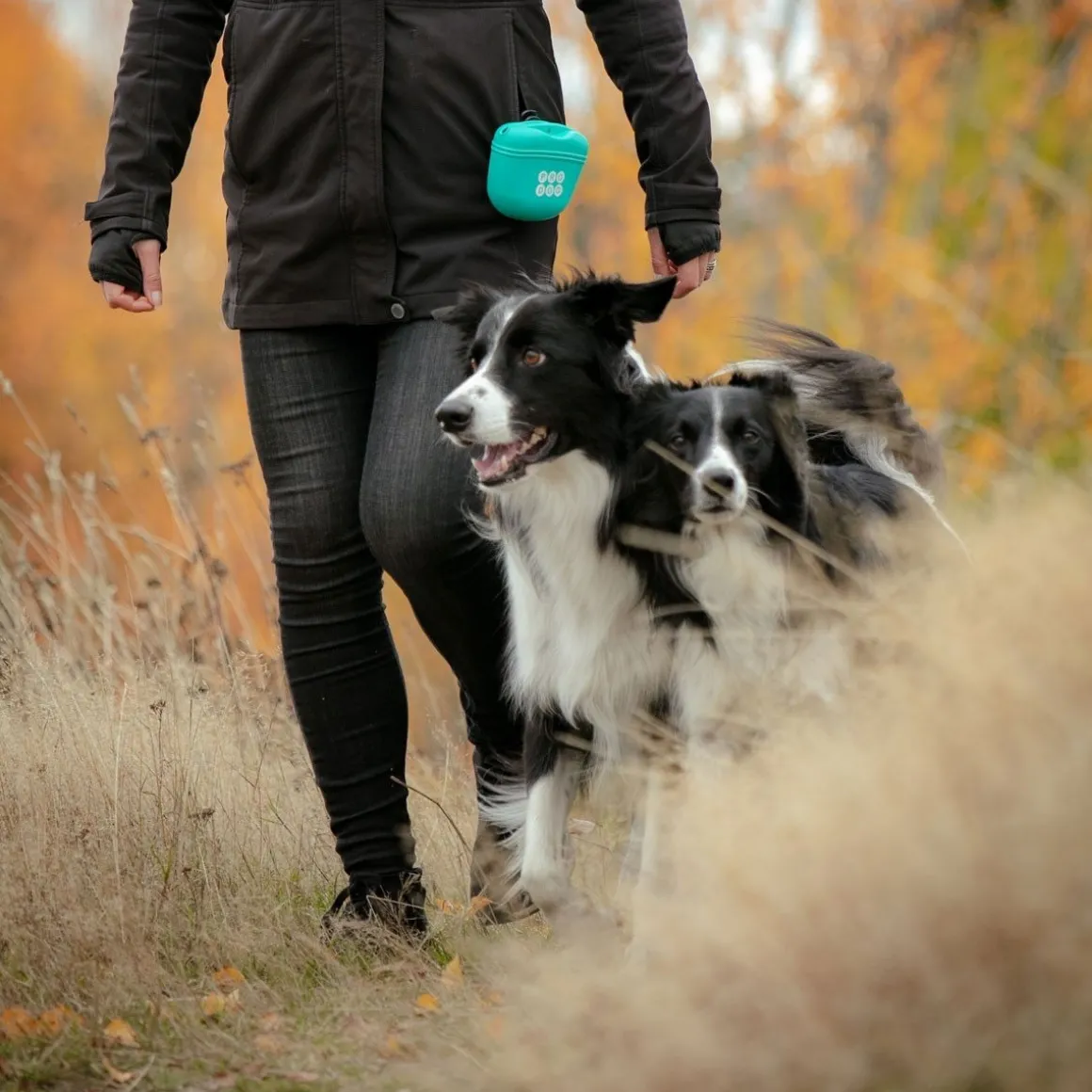 Silikoninen makupalapussi Pro Dog, turkoosi
