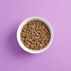 SMAAK viljaton steriloidun kissan ruoka, kalkkuna-possu