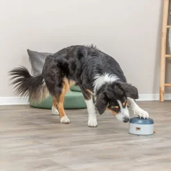 Trixie Dog Activity Buzzer