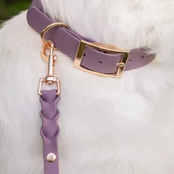 Tyylivoitto Braid hihna, mauve/ruusukulta