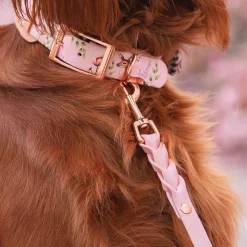 Tyylivoitto Braid talutin, baby pink/ruusukulta