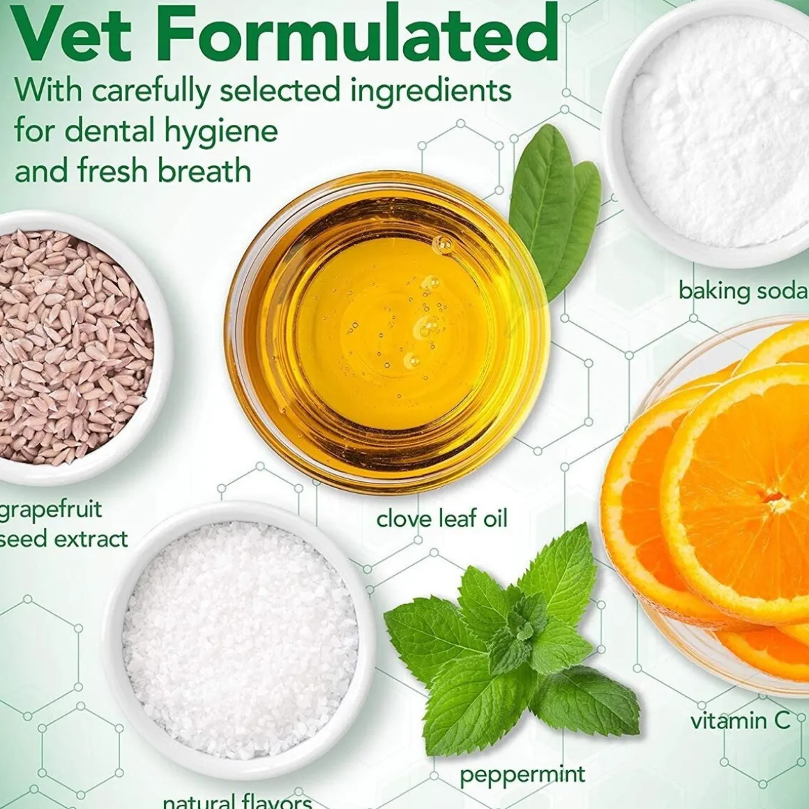Vet's Best Dog Dental Care Kit