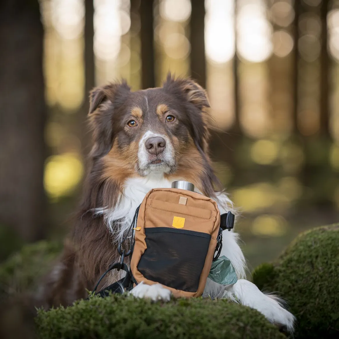 Woolly Wolf Hydration -olkalaukku, brown mix
